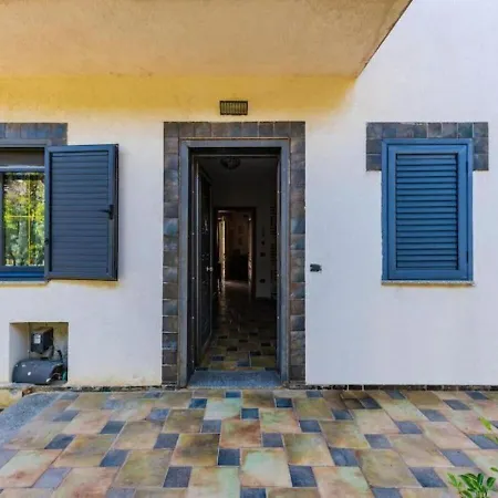 The Antique By Ps * 格勒姆